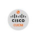Thumbnail of cisco cdr report